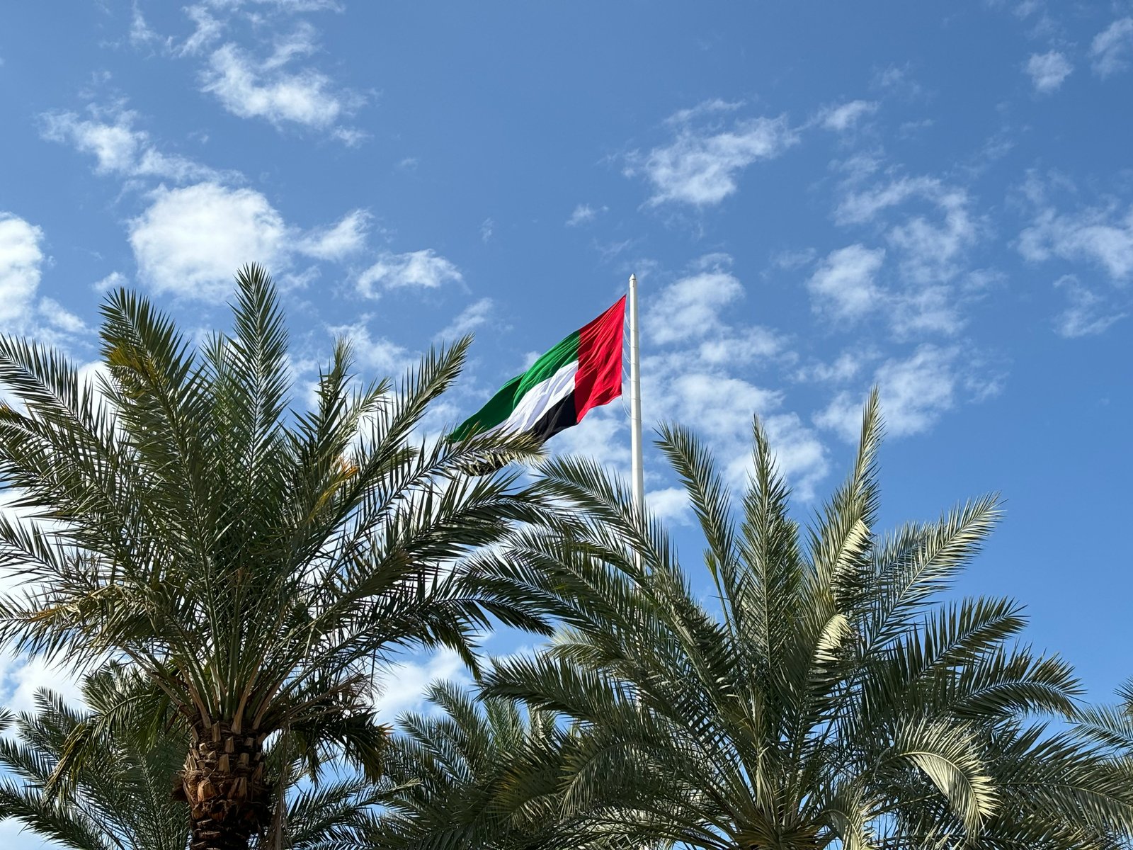The flag of the United Arab Emirates flying on a tall pole above date palms against a bright blue sky